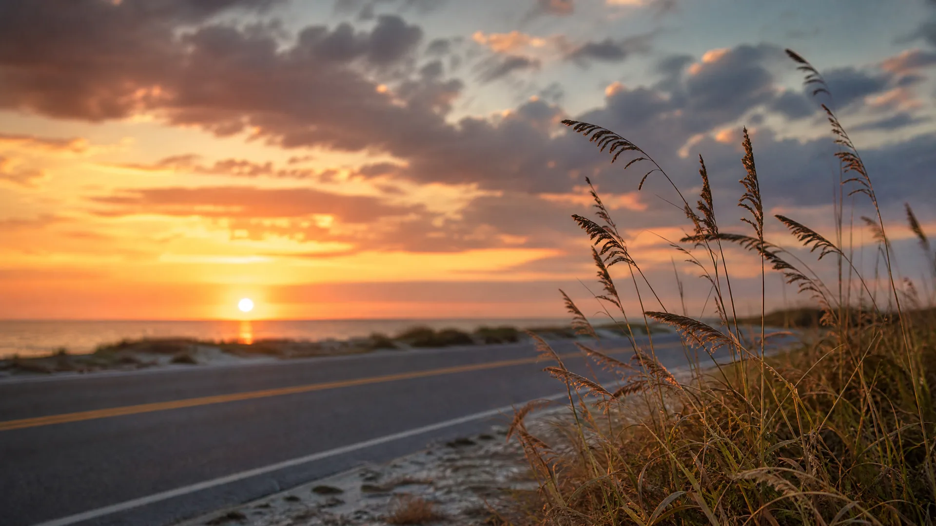 A two-lane road with a yellow center line and white edge line runs along a coast at sunset, with tall sea oats and grasses in the foreground right and the sun low over the water on the left.
